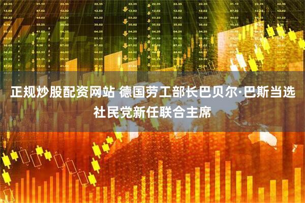 正规炒股配资网站 德国劳工部长巴贝尔·巴斯当选社民党新任联合主席